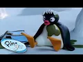 Download Lagu Stinky Pingu | Pingu Official | Cartoons for Kids