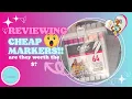 Cheap Marker Review Good as Ohuhu