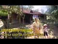 Download Lagu HANYA TIGA RUMAH..!! INILAH KEHIDUPAN DI DESA SEPI JAUH DI TENGAH HUTAN LADANG JAGUNG