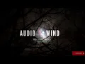 cricket on a summer night | Cricket sound effects | Copyright Free Nature sounds