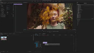 How to install Digital Diffusion in Premiere pro