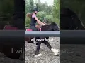 Download Lagu Ik hou altijd van dr #paarden #horse #equestrianjourney #manege #equestrian #pony #horseriding #edit