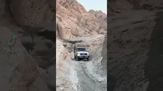 ياباني صنع اليهودي فخر اليابان 