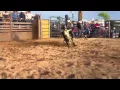 72 Points for third at the Hitching Post on War Dog