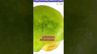อะไรคือไขมันทรานส์  และทำไมถึงเป็นอันตรายต่อหัวใจและสมอง