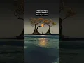 Download Lagu किरदार बह गया पानी Trueline sad love shayari status#whatsappstatus #sadshayari #loveshayari#ytshorts
