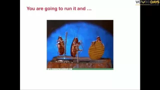 VDB16 - Repl Driven Development