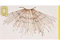 Lagu Threads That Speak: How The Inca Used Strings to Communicate | National Geographic