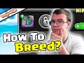 How To Breed Kann Dragon Dragonvale