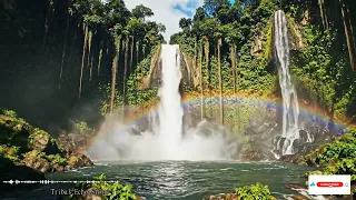Pulse Of The Ancestral Storm Drums Awakening Sacred Trance For Deep Grounding And Spirit Flow
