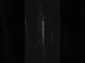 Download Lagu Dengar suara musang kayak suara hantu