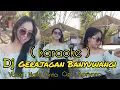 Download Lagu Dj GERAJAGAN BANYUWANGI ( karaoke ) @priyanaofficial5113
