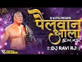 Download Lagu Pailwan Aala | पैलवान आला | #trending Dj Song | Edm Mix | Dj Ravi RJ