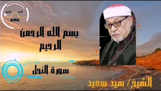 سورة النحل القاريء الشيخ سيد سعيد  سورة النحل القاريء الشيخ سيد سعيد