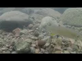 Kayaking Adventures - 8