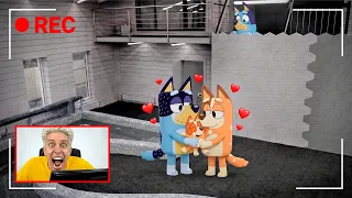 BLUEY У МЕНЯ ДОМА в Реальной Жизни! 😨 Скрытые камеры