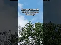 Download Lagu Self confidence is your superpower. #motivation #lifelessons #ytshorts #changeyourmindset