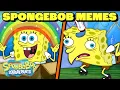 Best MEME Moments from SpongeBob SquarePants 25 Minute Compilation SpongeBob