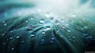 نغمة رنة موسيقى خيـاليـة Ringtone Top تحميل نغمة رنين موسيقى عالية للموبايل Mp3 نغمات هاتف 