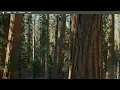 chapter 9