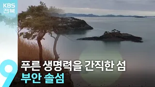 [영상] 사계절 푸른 생명력을 간직한 섬…부안 솔섬 / KBS  2023.12.22. 썸네일