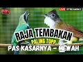 Lagu MASTERAN FULL KASARAN!! KOMBINASI CUNGKOK - SIRI-SIRI DAN KETEM FULL BESETAN  - PUTAR SEKARANG JUGA