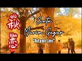 Download Lagu 秋恋 - Qiu Lian - 江东 • 秋恋 • Cinta Musim Gugur - Autumn Love - Lagu Mandarin Subtitle Indonesia
