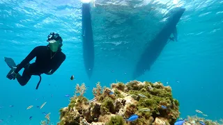 THE MOST BEAUTIFUL ISLAND IN THE BAHAMAS 🇧🇸 – CONCEPTION ISLAND off the beaten track..