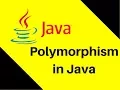 8 7 Polymorphism in Java