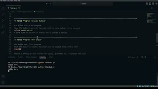 Python Comments and Hello World
