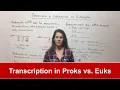 Transcription in Prokaryotes vs Eukaryotes
