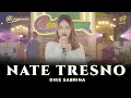 Download Lagu DIKE SABRINA - NATE TRESNO | Feat. RASTAMANIEZ ( Official Music Video )