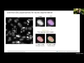 Introduction to nuclei segmentation with StarDist - NEUBIASAcademy Home Webinar