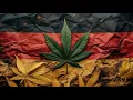 Download Lagu Ragga Jungle -DnB- Dubwise -King Wuppi- RastafariRoots #27 (10.05.2024)  13000 Subscribers session