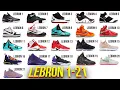 LEBRON 1-21 Every Signature Nike Shoe