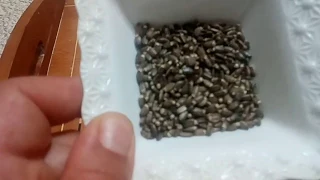 من فضلكم عشبة شوك الجمل شفتني من باتت   مزمن لداء الكبد الرجاء تقلوها لكل هو مريض جزاكم الله   دندنها