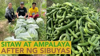Ang Reyna ng Manambong! Ampalaya at Sitaw pagtapos ng Sibuyas!