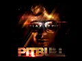 Pitbull - Shake Senora (Audio) ft. T-Pain, Sean Paul