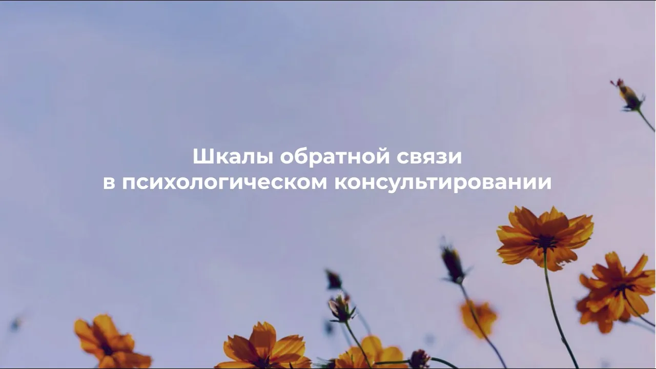 Шкалы обратной связи в психологическом консультировании // Д.Грачёв