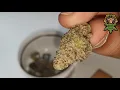 MAC 1 by IOG Strain pre-review