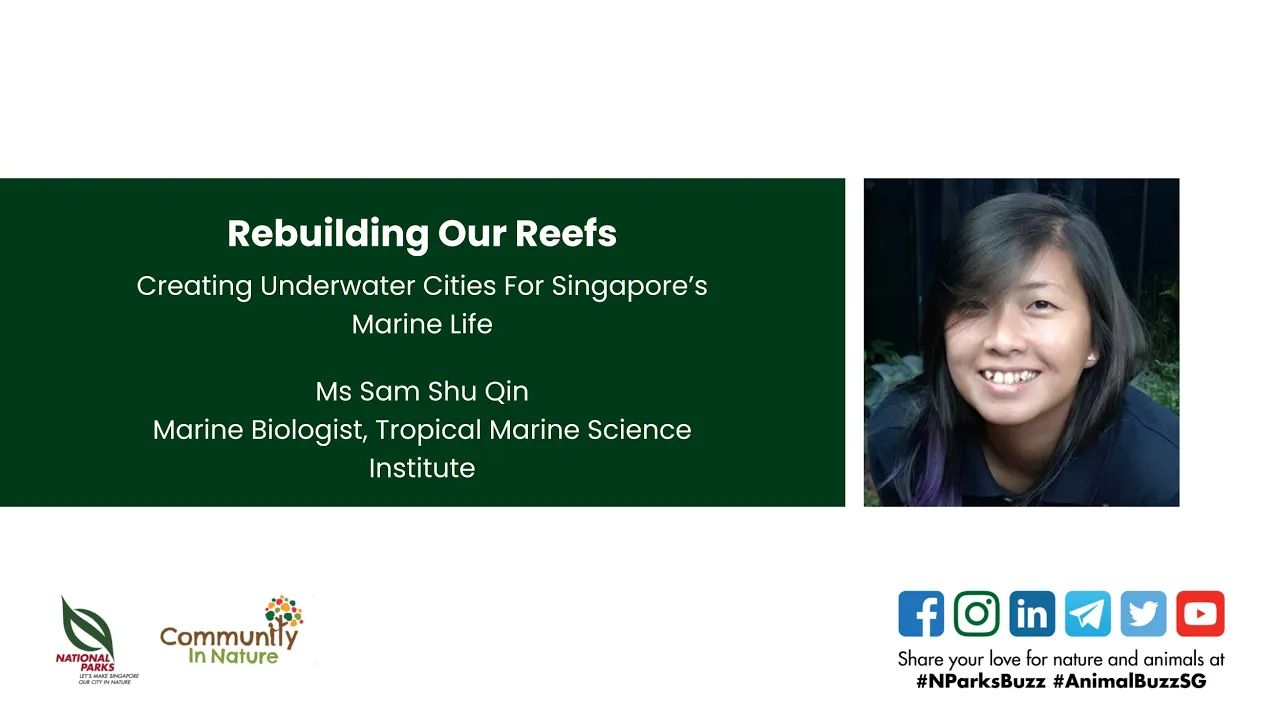 NParks Spotlight: Rebuilding Our Reefs (Festival of Biodiversity Edition)
