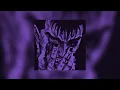 Xantesha - Sunrise (Slowed + Reverb) [PHONK]