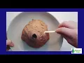 Create Erupt your own Volcano