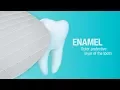 How Does Pronamel Toothpaste Help Strengthen Enamel Pronamel