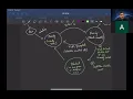 CS 111A Project 4 Implementing Locks and Condition Variables Walkthrough