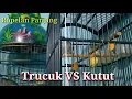Download Lagu Trucuk VS Kutut Jadi Kongslet