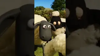Shaun The Sheep Thief Cartoon Shaunthesheep Viral 