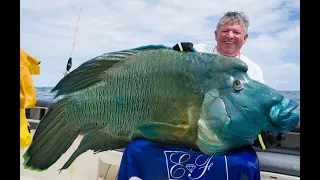 Emeraude Fishing - Popping & Jigging - X-trem - Season 2019