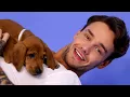 Download Lagu Liam Payne Plays With Puppies