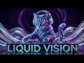 Lagu DJ Bamdoo - Liquid Vision (Official Music Video) | BigPool Acid Trance